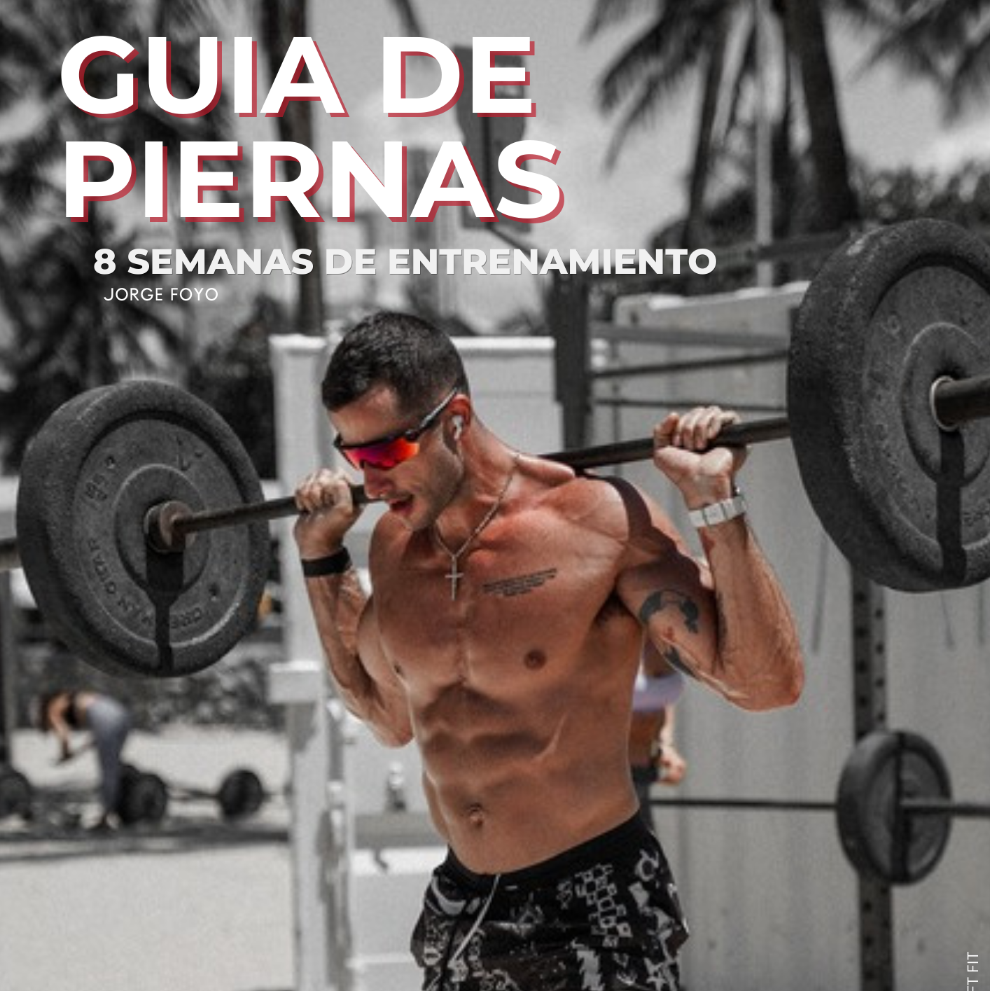Guia De Piernas De 8 Semanas
